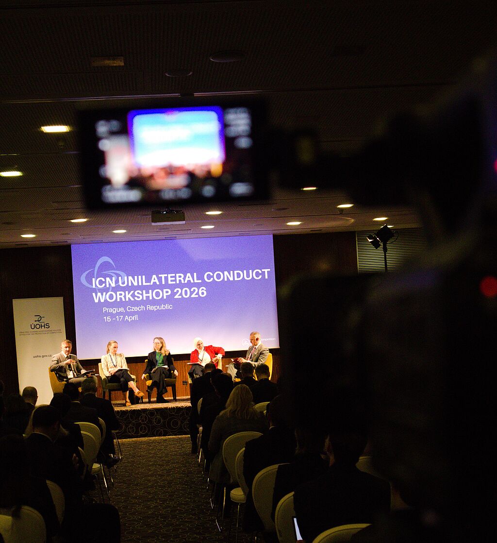 Delavnica ICN v Pragi